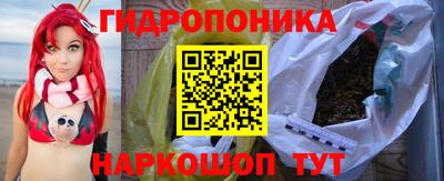 дмт Можга