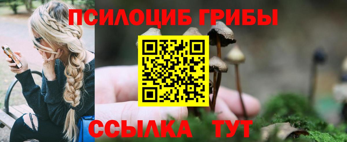 Галлюциногенные грибы Magic Shrooms Щёлково